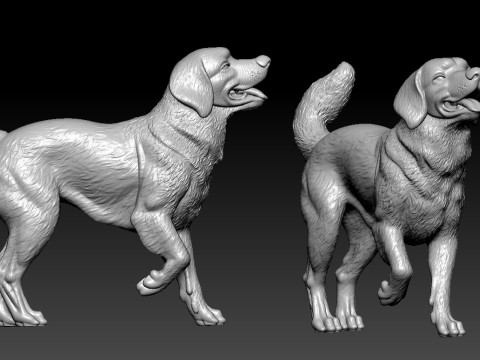 Golden Retriever Dog Positions Urban vibes 3D Print Model