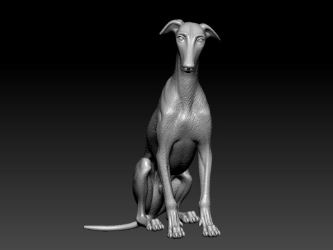 Greyhound Dog model - 3D print Modello di stampa 3D