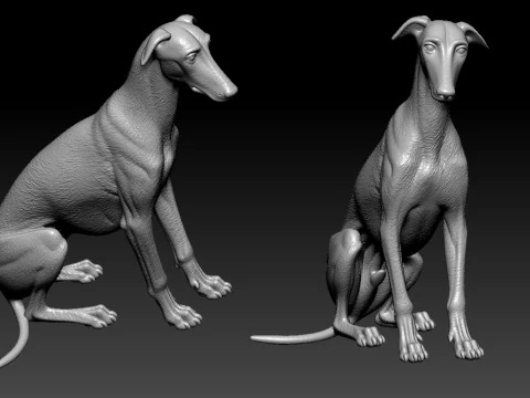 Greyhound Dog model - 3D print 3D Print Model
