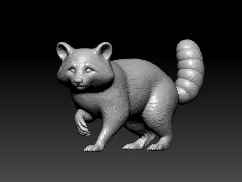 Raccoon species model - 3D print 3Dプリントモデル