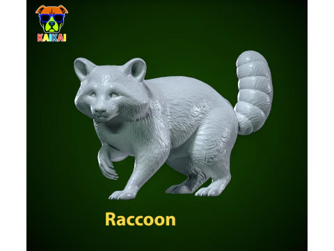 Modello di specie di procione - stampa 3D Modello di stampa 3D