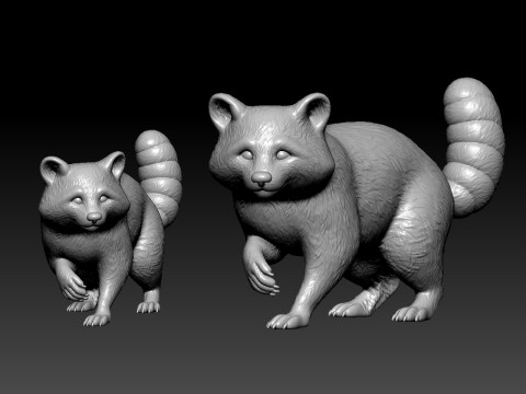 Raccoon species model - 3D print 3Dプリントモデル
