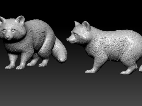 Raccoon species model - Urban vibes - 3D print 3D-Druckmodell