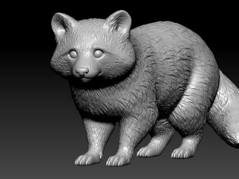 Raccoon species model - Urban vibes - 3D print 3D-Druckmodell