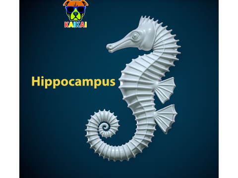 Hippocampus - Animal - decor - 3D print 3D Baskı Modeli