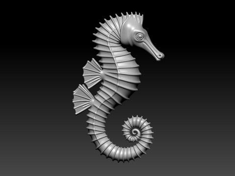 Hippocampus - Animal - decor - 3D print 3D Принт Модель