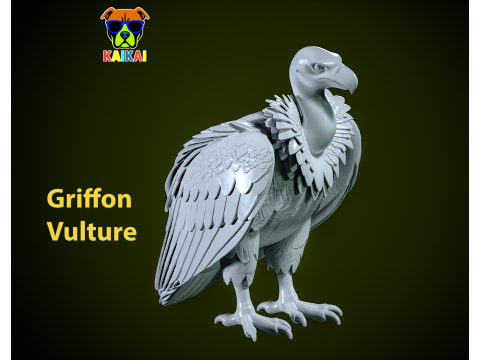 Griffon Vulture model - 3D print Modelo de impresión 3D