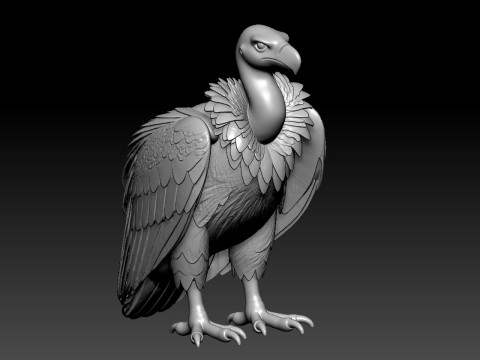 Griffon Vulture model - 3D print 3D Принт Модель