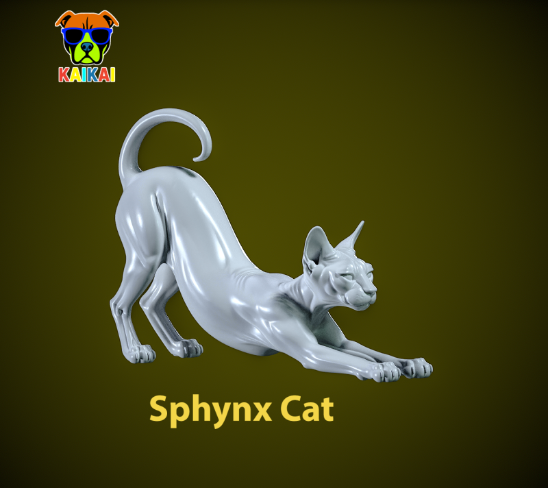 CAT sphynx model - Cat urban vibes - 3D print Model Cetak 3D .c4d .max .obj .3ds .fbx .stl .blend
