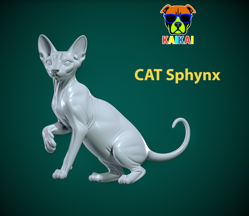 Sphynx cat posing model - 3D print 3D प्रिंट मॉडल .c4d .max .obj .3ds .fbx .stl .blend 