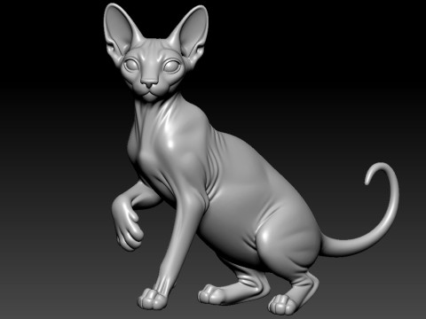 Sphynx cat posing model - 3D print 3D प्रिंट मॉडल
