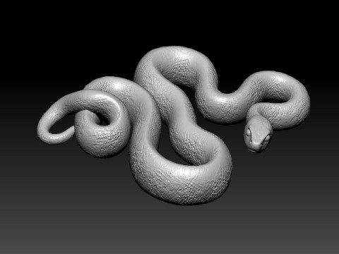 Jungle snake - cobra statue - 3D print Modello di stampa 3D