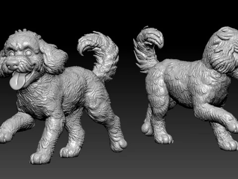 Cockapoo Dog Posing statue - 3D print 3D Print Model