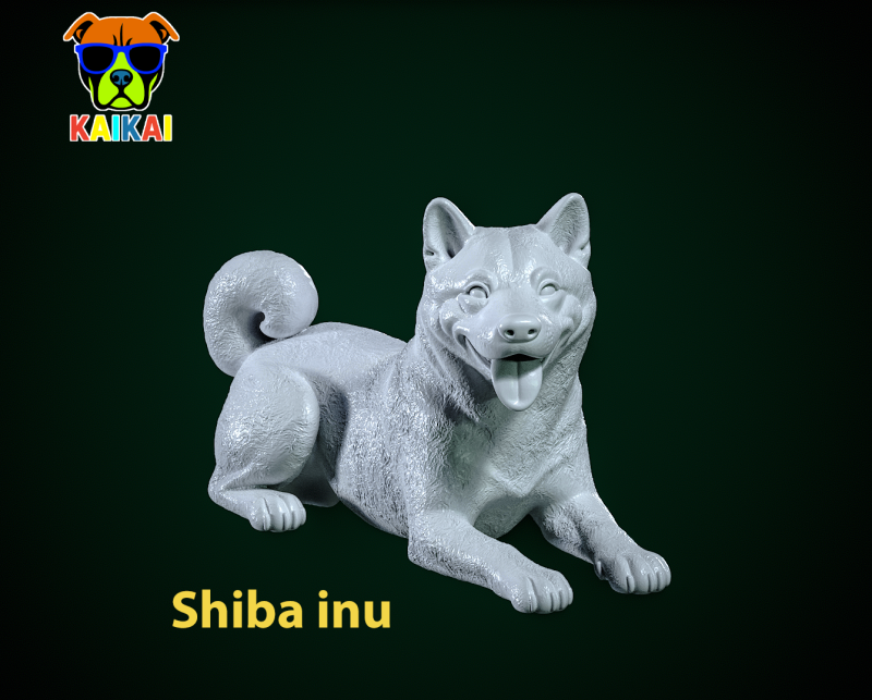 Ba Inu93 model - Japanese small dog breed - 3D print 3D 프린트 모델 .c4d .max .obj .3ds .fbx .stl .blend 