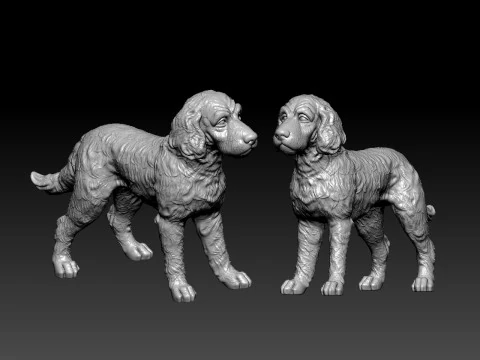 Cocker spaniel lying dog model - 3D print 3D Print Model