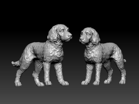 Cocker spaniel lying dog model - 3D print 3D 프린트 모델