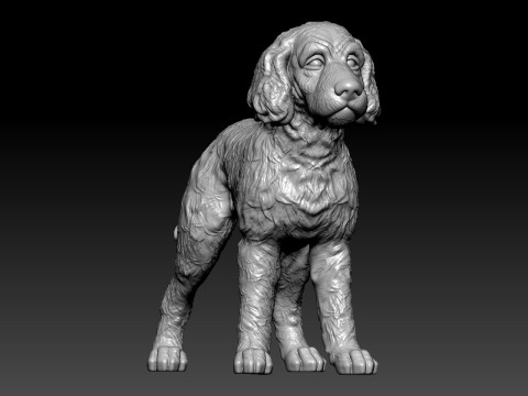 Cocker spaniel lying dog model - 3D print 3D 프린트 모델