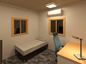wooden house with ballon frame type structure 3D मॉडल