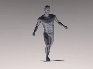 surfista d'argento Modello 3D