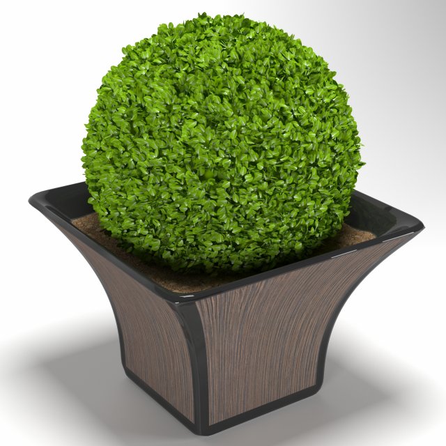 bush in a cache-pot 3D 模型 .c4d .max .obj .3ds .fbx .stl .blend 