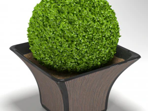 cespuglio in un vaso Modello 3D