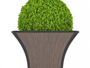 bush in a cache-pot 3D 模型