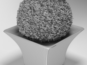 bush in a cache-pot 3D 模型