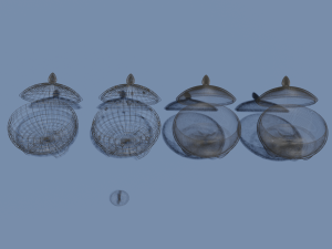 vessels 3D Model