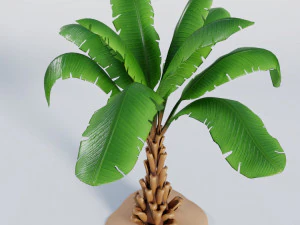 palm trees 3D Model