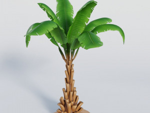 palm trees Model 3D