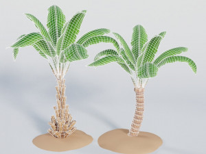 palm trees Model 3D