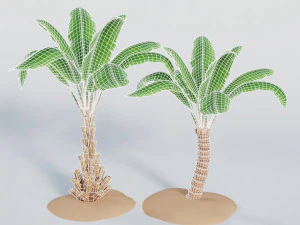 palm trees 3D Model