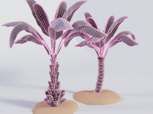 palm trees Model 3D
