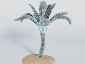 palm trees Model 3D