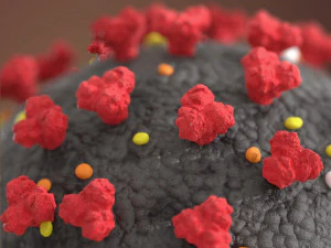 corona virus Modello 3D