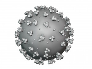 coronavirus Model 3D