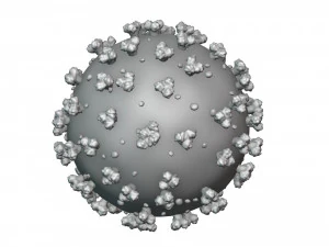 corona virus Modello 3D