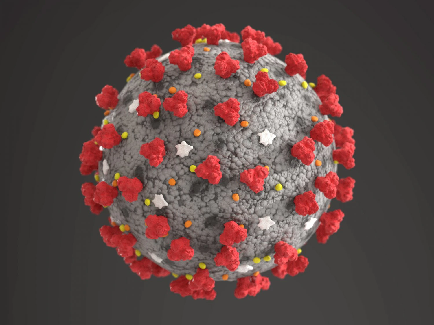 coronavirus covid-19 3D Model .c4d .max .obj .3ds .fbx .stl .blend 