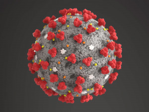 coronavirus covid-19 3D Model