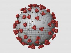 coronavirus covid-19 3D Модель