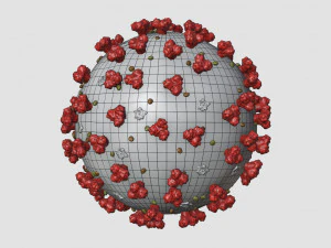 coronavirus covid-19 3D Model