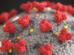 coronavirus covid-19 3D Model