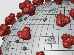 coronavirus covid-19 3D Model