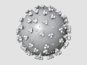 coronavirus covid-19 3D Model