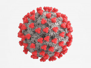corona virus 3D Print Model