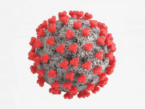 corona virus Modèles 3D en vedette