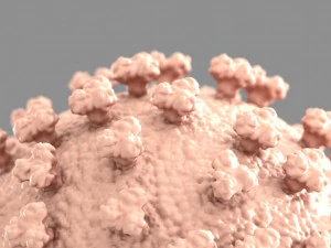 corona virus 3D Print Model