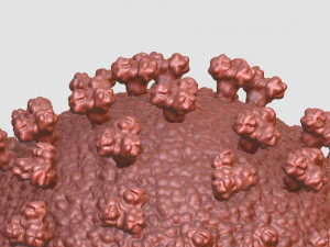 corona virus 3D Print Model