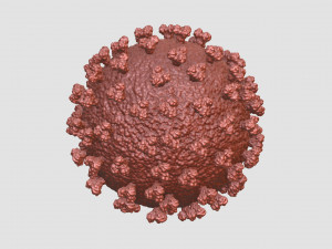 corona virus 3D Принт Модель