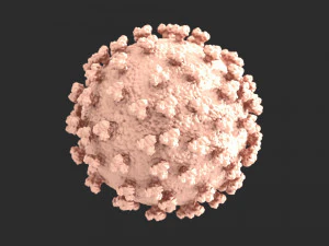 corona virus 3D Print Model